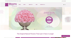 Desktop Screenshot of bloomsbyheinau.com